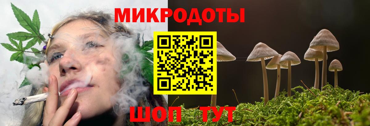 Галлюциногенные грибы Psilocybine cubensis Калач-на-Дону
