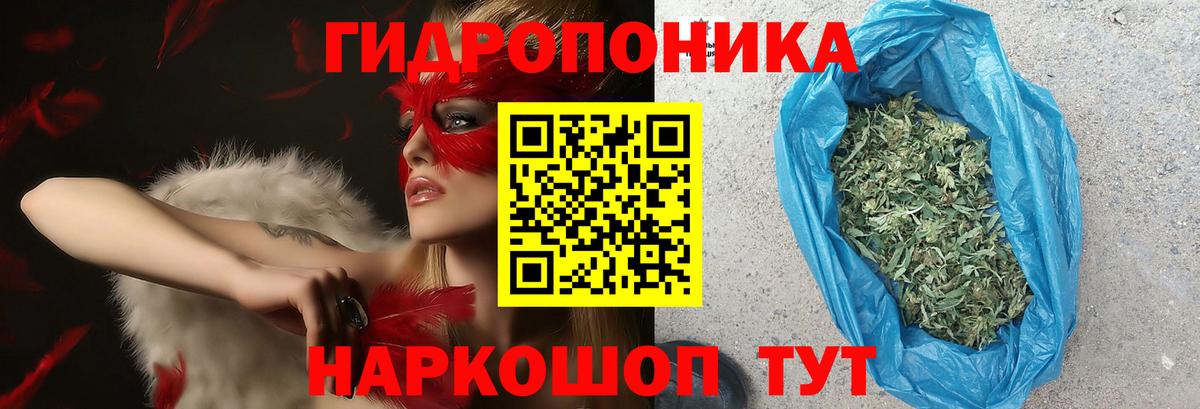 МАРИХУАНА конопля Калач-на-Дону